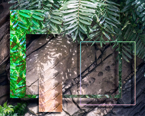 Werke von Mark Dorf verstecken sich im Grün des Botanischen Gartens.